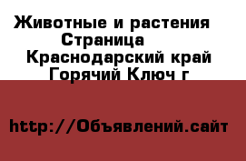  Животные и растения - Страница 10 . Краснодарский край,Горячий Ключ г.